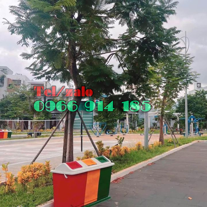 thung-phan-loai-rac-dat-trong-cong-vien.jpg