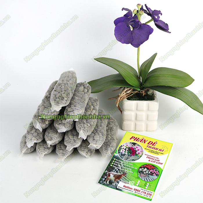 tui-luoi-dung-phan-de.jpg