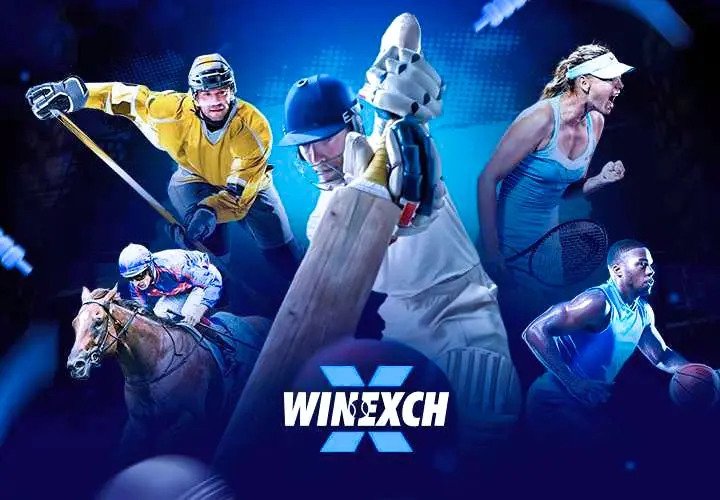 Winexch Game- What It Is, How It Works, and Why People Are Search