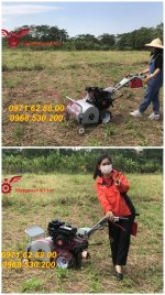 may-cat-co-36-luoi.jpg