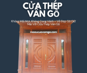 cửa thép vân gỗ tại Tây Ninh.png