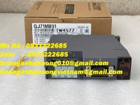 QJ71MB91 9.jpg