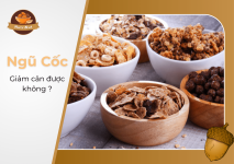 ngu-coc-co-giam-can-duoc-khong-min.png