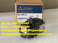 gen-h-HG-KR13 13.jpg