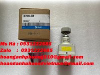 IR2020-02B 4.jpg