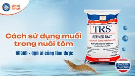 su-dung-muoi-trong-nuoi-tom-thumnail-1.jpg