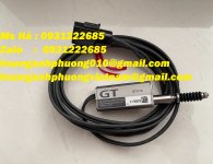 GT-H10 1.jpg