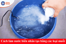 chuan-bi-ap-trung-artemia.png