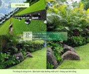 thi công cỏ cây xanh công trình Đồng Nai, Bình Dương, TPHCM, Bà Rịa Vũng Tàu 4.jpg