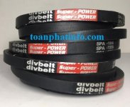 Day-curoa-Divbelt.jpg