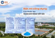 banner-tac-dung-dong-sunfat-trong-nuoi-trong-thuy-san.jpg