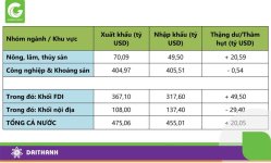 dtals-buoc-da-nn-viet-8-1.jpg