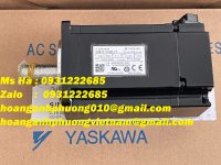 SGMJV-04ADL21 3.jpg