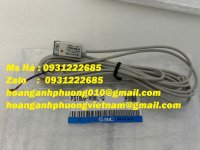 1784685690972_719774236834279813_g5316601613398525104_a73fdd392974fe6dd422a47cf6d08337.jpg