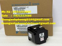 SGMPS-04ACA21-E----.jpg