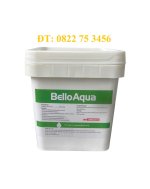 bello aqua.jpg