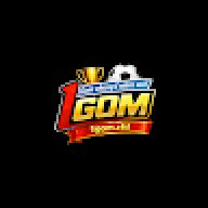 1gomcfd