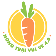 nongtraivuive1