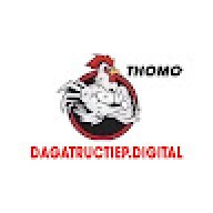 dagavindigital
